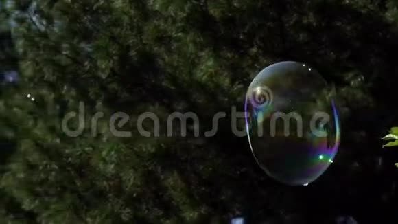 大肥皂泡的慢运动变形视频的预览图