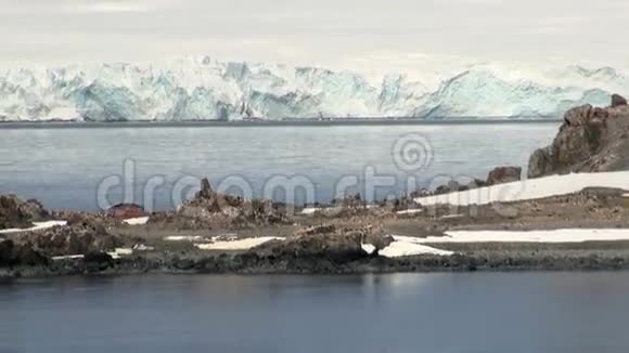 南极洲美丽的风景视频的预览图