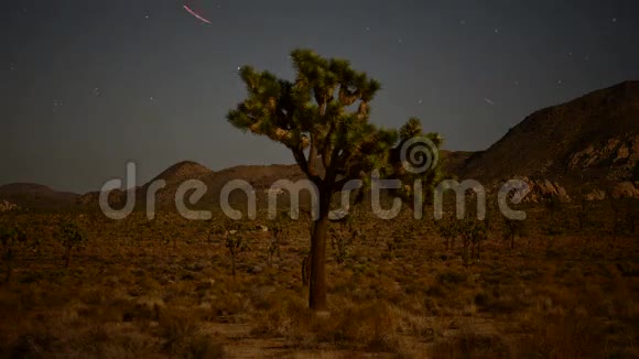 约书亚树飞机沙漠天空之星的时间流逝视频的预览图