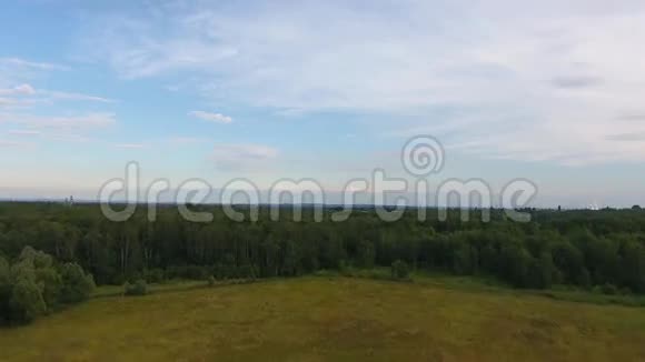 在波兰的夏日空中森林之上视频的预览图