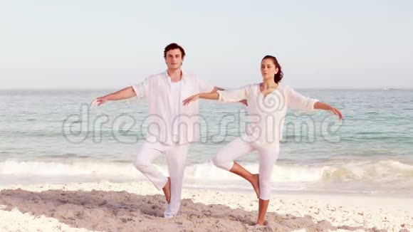 和平夫妇在海滩上沉思视频的预览图