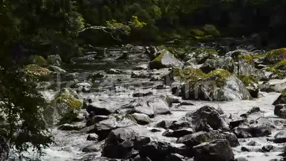 荒野山河视频的预览图