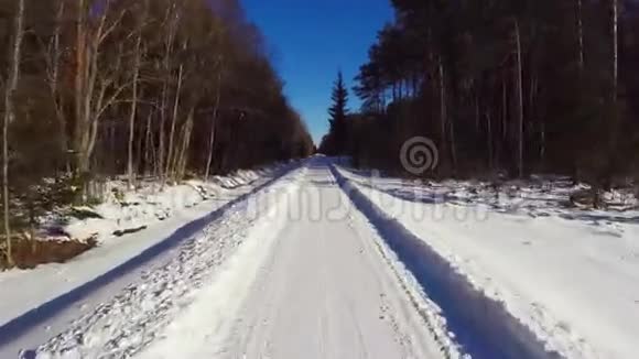 空中镜头低空飞行冬季景观晴天冬季森林视频的预览图