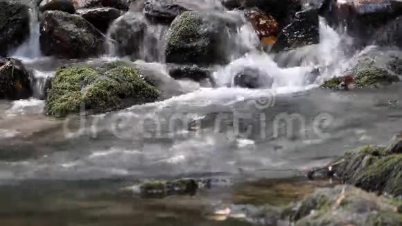 泉水自然场景视频的预览图