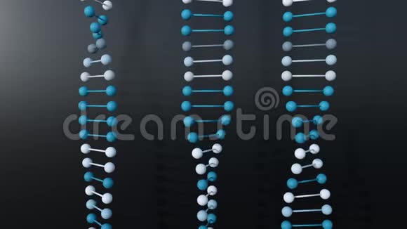 4K提取DNA双螺旋视频的预览图