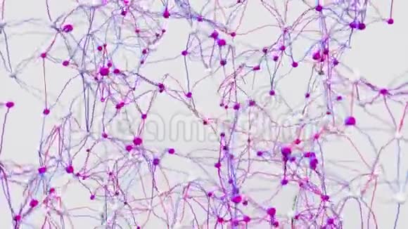 4K神经元和突触活动视频的预览图