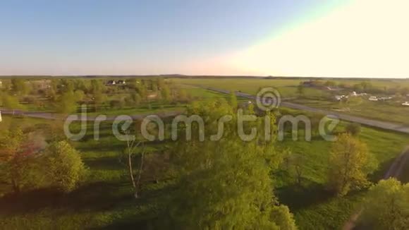 绿色夏日公园日落低空飞行空中镜头视频的预览图
