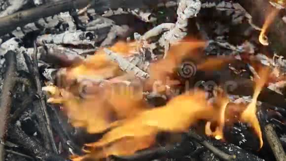 燃木篝火宏观视频充满木头的热火炉视频的预览图