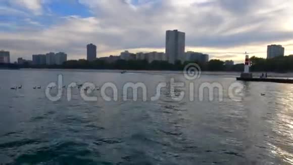 芝加哥市中心从密歇根湖视频的预览图