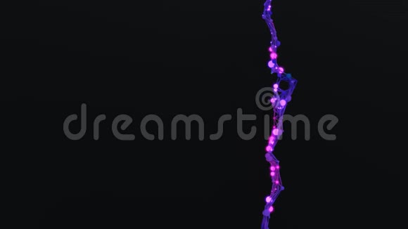 分子网络生长视频的预览图
