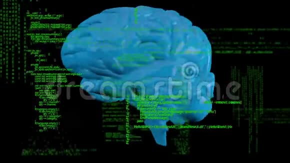 旋转大脑的数字动画视频的预览图