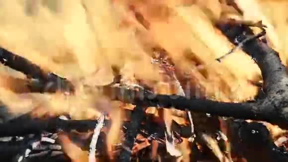 燃木篝火宏观视频充满木头的热火炉视频的预览图
