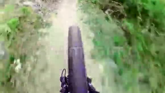 在森林的小径上骑自行车视频的预览图