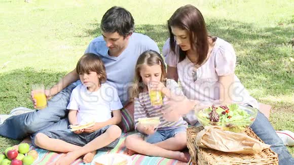 快乐的一家人在公园野餐视频的预览图