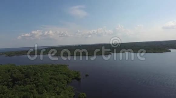 亚马逊巴西南美洲的湿地视频的预览图