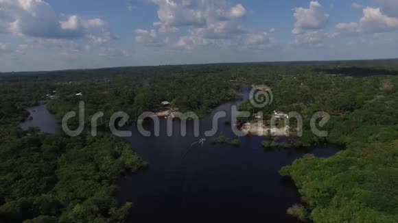 亚马逊巴西南美洲的湿地视频的预览图
