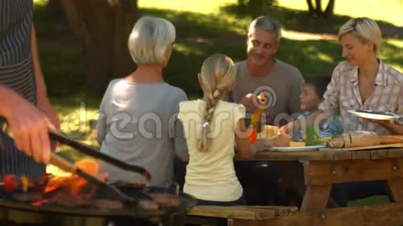 快乐的一家人在公园里烧烤视频的预览图