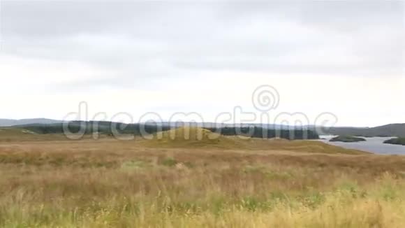 康纳马拉国家公园的湖视频的预览图