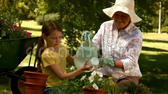 祖母和孙女一起园艺视频的预览图