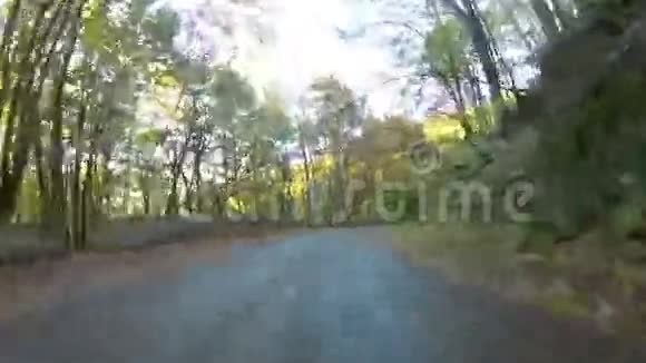 穿过林地的蜿蜒道路GoPro视频的预览图