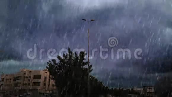 大雨过马路视频的预览图