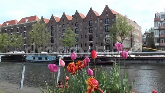 阿姆斯特丹运河之家视频的预览图