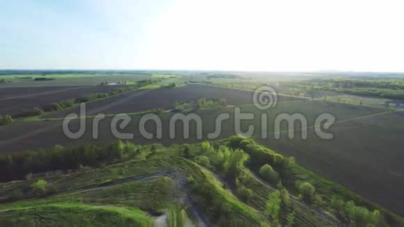 在山上飞过绿林空中镜头视频的预览图