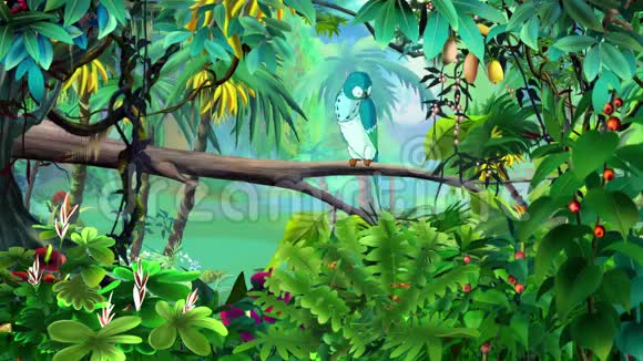 丛林里的蓝鹦鹉视频的预览图