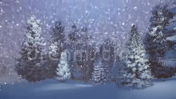 在白雪皑皑的云杉林中的神奇之夜视频的预览图