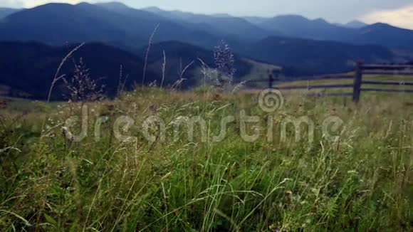 令人惊叹的高山夏季景观视频的预览图