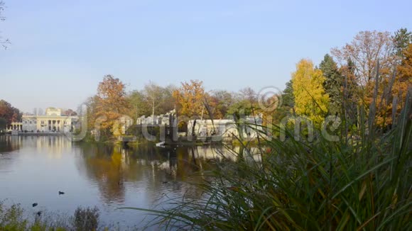 华沙拉齐尼基公园水上皇家宫殿视频的预览图