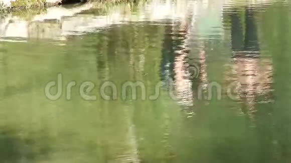 夏季湖景拍摄模糊的自然不集中的背景视频的预览图