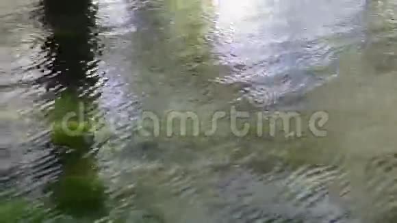 水面反射视频的预览图