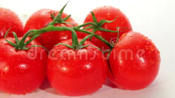 白色背景的番茄视频的预览图