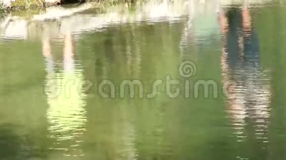 夏季湖景拍摄模糊的自然不集中的背景视频的预览图