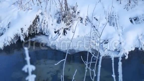 冬季森林溪流雪草自然树木美丽的景观视频的预览图