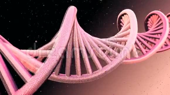 DNA链的旋转模型可循环背景视频的预览图
