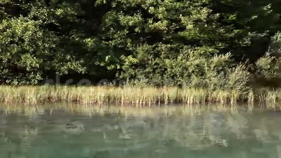 美丽的风景在普利特维国家公园视频的预览图