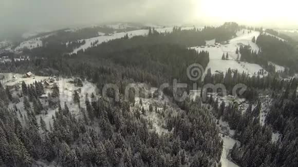 喀尔巴阡山针叶林空中拍摄视频的预览图