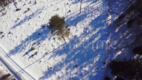 空中镜头冬季景观晴天冬季森林视频的预览图