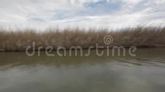 河景秋江视频的预览图