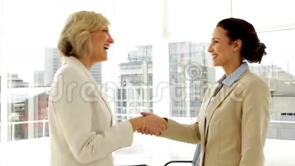 微笑的女商人握手视频的预览图