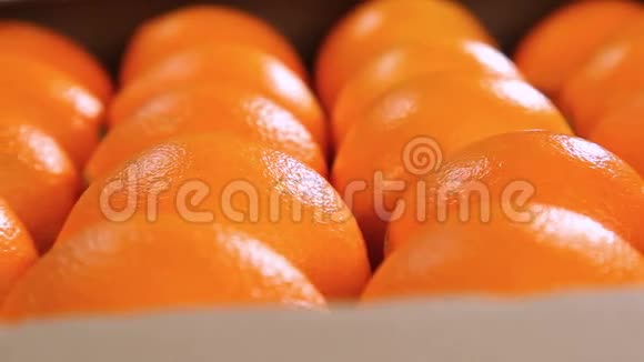 橙色水果特写视频的预览图