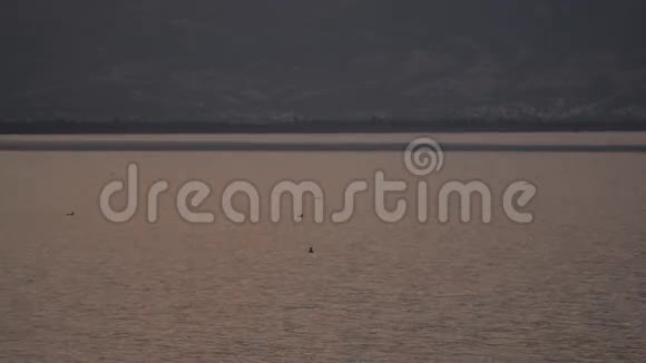 马其顿普雷斯帕湖视频的预览图