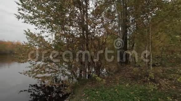 秋日在森林湖畔视频的预览图