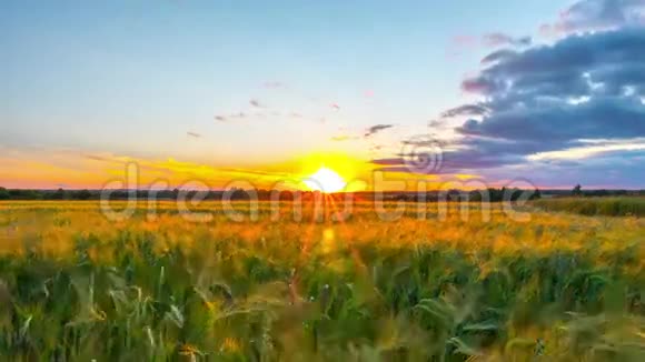 乡村景观与夕阳时光流逝视频的预览图