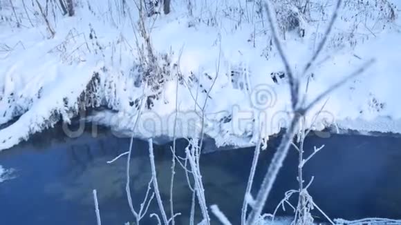 冬天的森林溪流雪自然草木美丽的风景视频的预览图