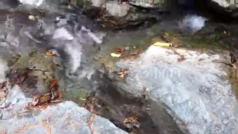 野生丛林中的小瀑布巴拉望岛视频的预览图