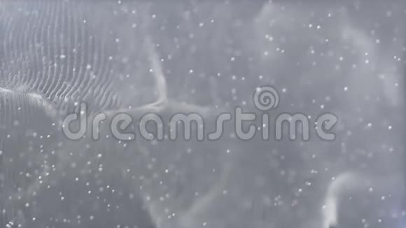 白色灰色移动抽象闪烁发光闪光尘埃粒子环视频的预览图