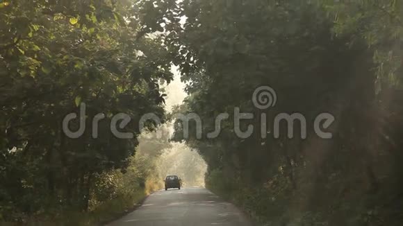 印度拉贾斯坦邦农村公路视频的预览图
